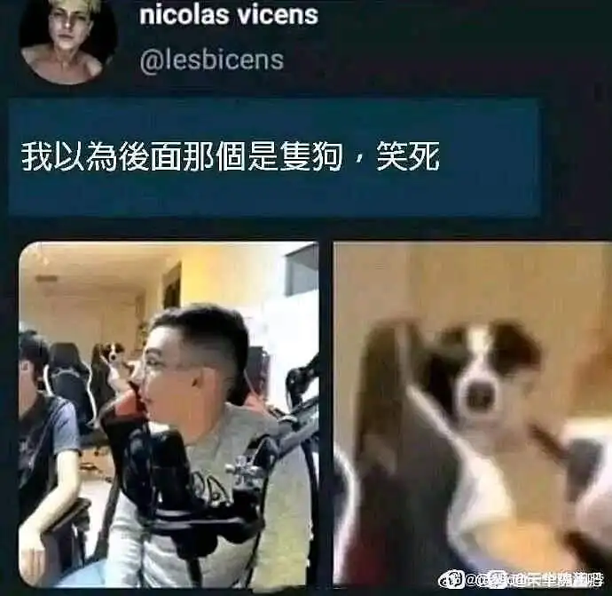 闲聊茶馆,沙雕图