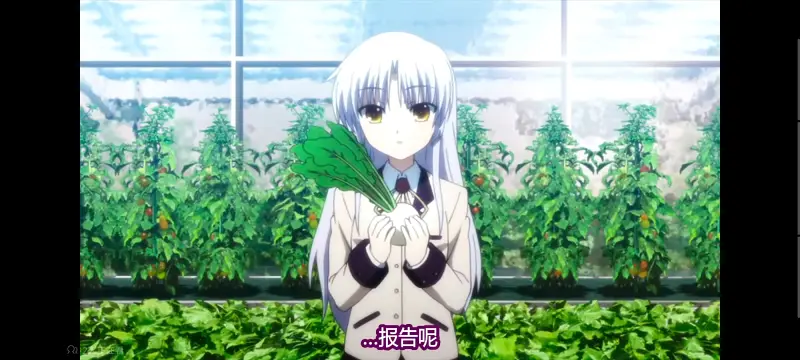 AngelBeats,天使的心跳,动漫,动画,番剧,ACG