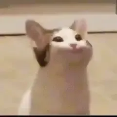 闲聊茶馆,闲聊