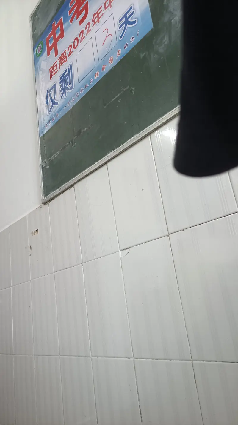 时间快到了，带点学校的砖回去
