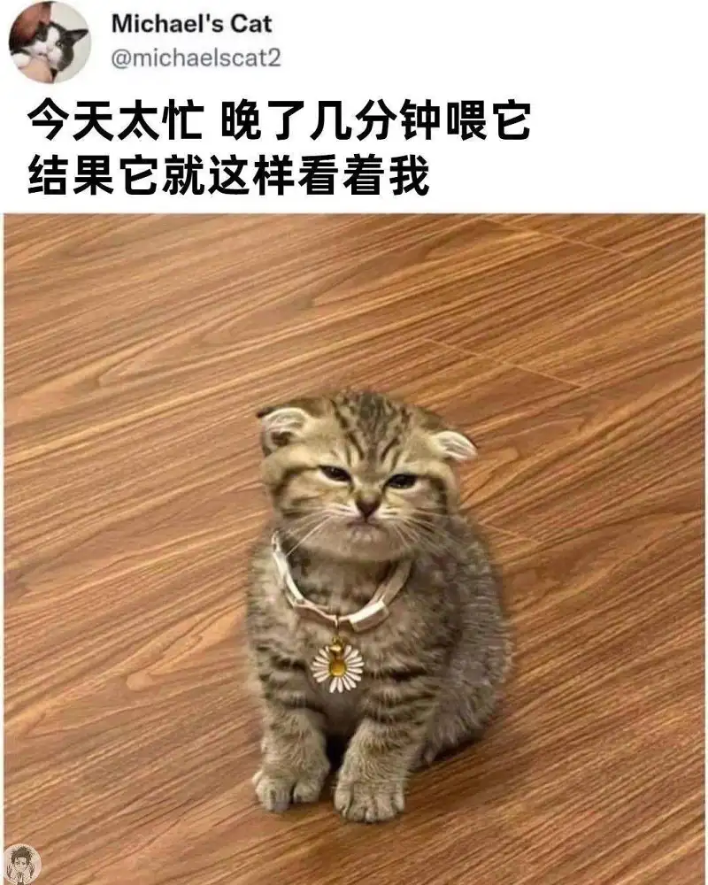 建个日记长期楼～