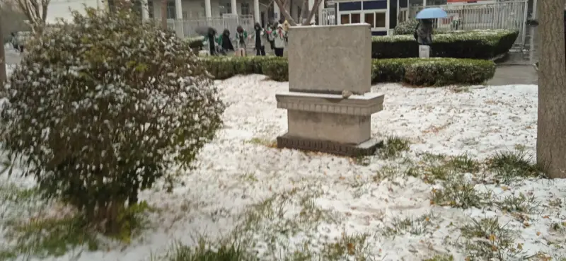学校