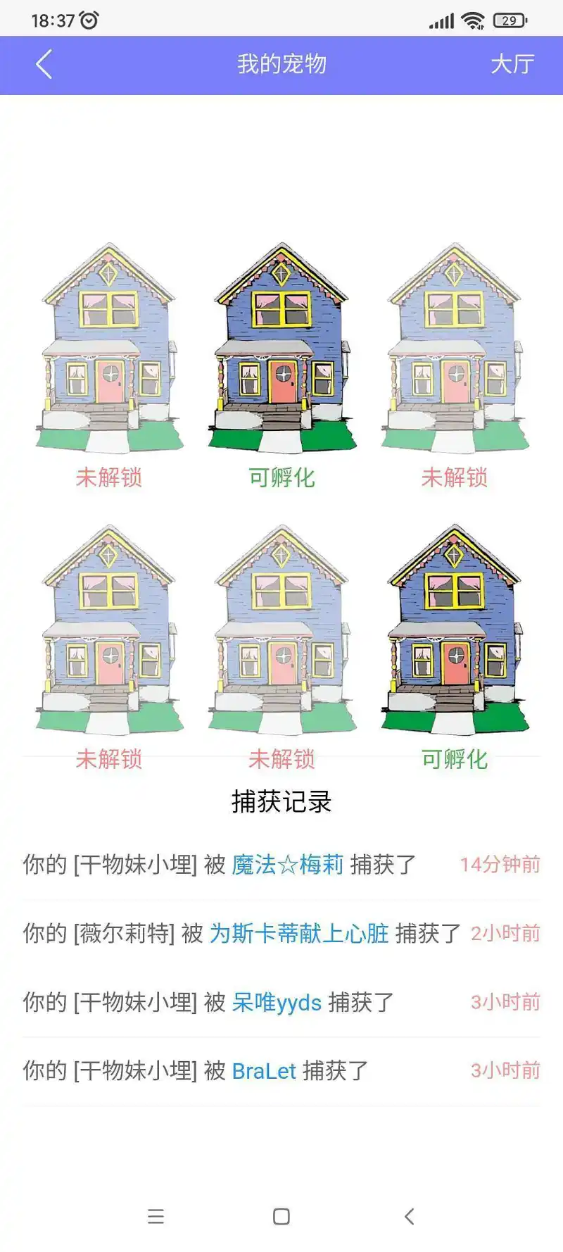 闲聊茶馆,宠物