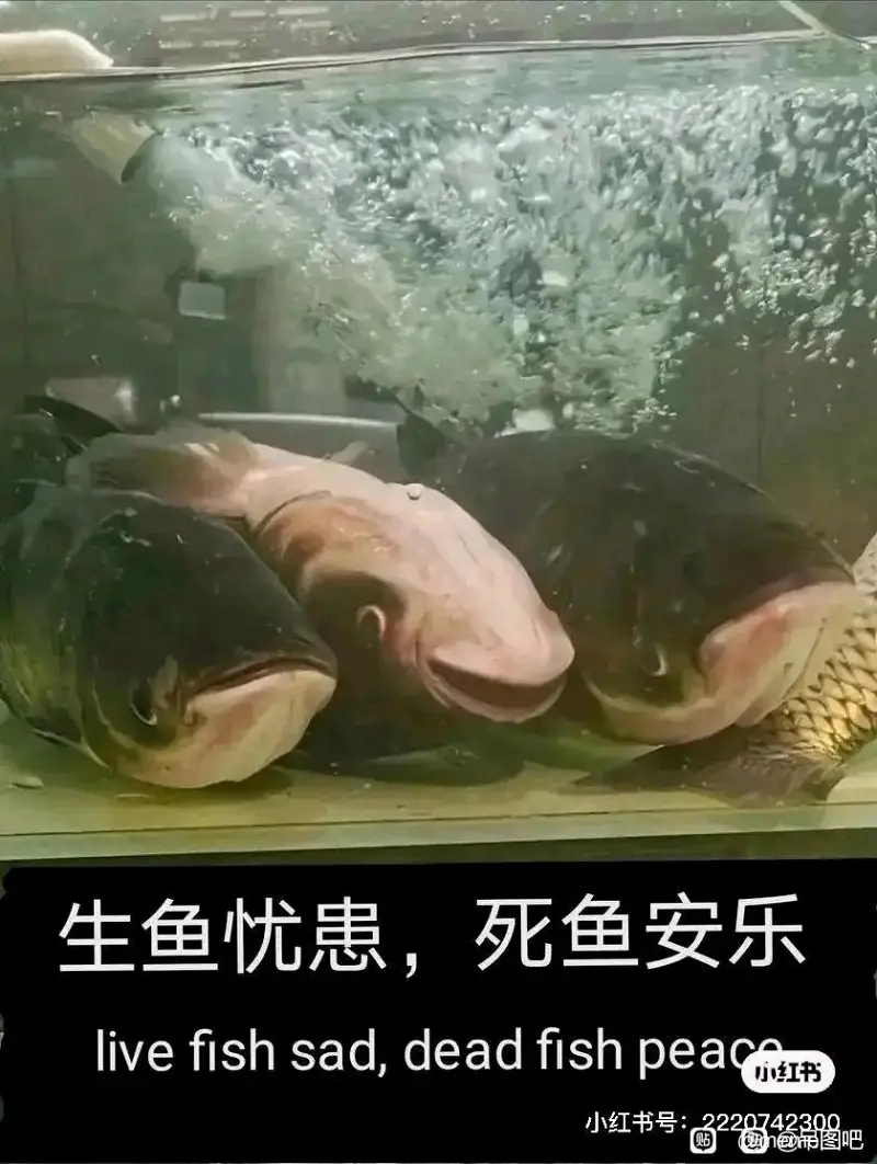 吊图