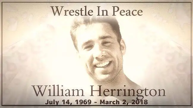 【兄贵】Wrestle In Peace【追悼动画】