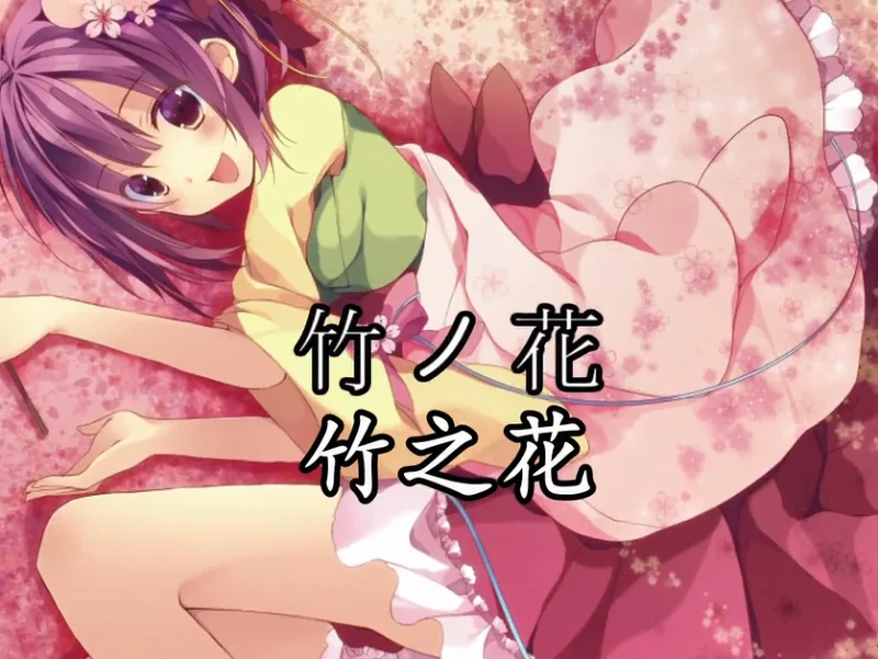 【凋叶棕】竹之花 【内嵌字幕】