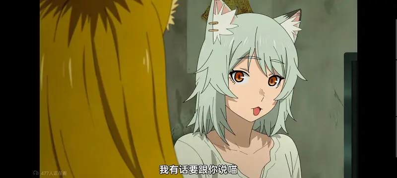 尼古喵喵,雅尼猫,动画,动漫,番剧,日漫,二次元,ACG