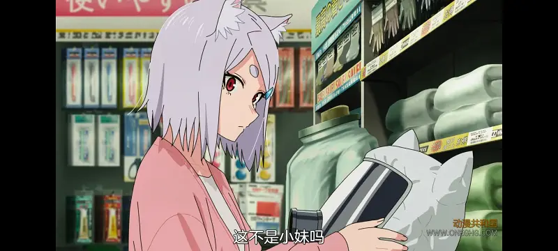 雅尼猫,尼古喵喵,动画,动漫,番剧,二次元,日漫,ACG