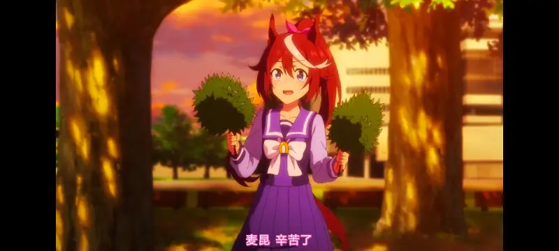 赛马娘,赛马娘PrettyDreby,动画,动漫,AMV,MAD,二次元,ACG
