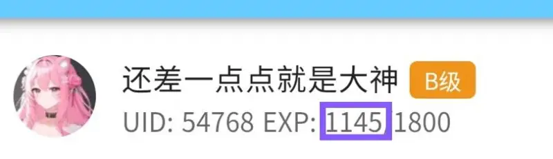 野兽先辈,114514,M站经验值