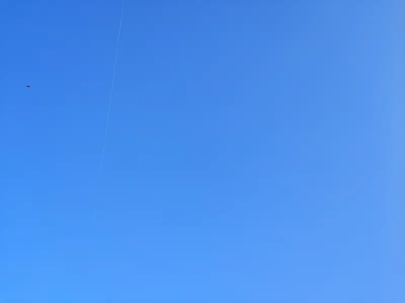 生日,琪露诺,立冬