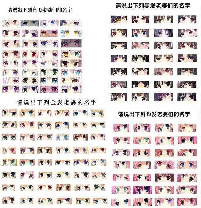 快来认老婆