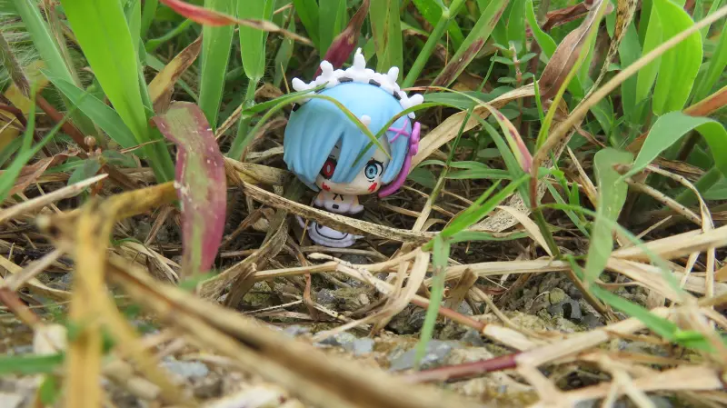 摄影