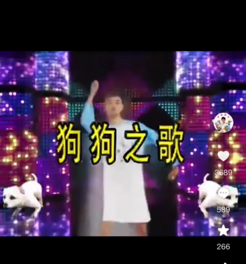 农旭狗狗歌曲～狗狗之歌