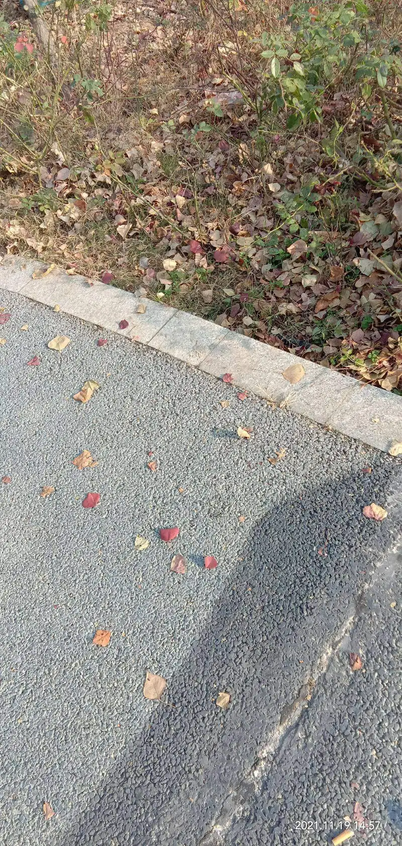 新人报道,新人