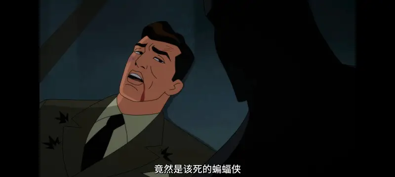 DC,美漫,动画,动漫,蝙蝠侠披风斗士,蝙蝠侠,番剧,超级英雄,ACG