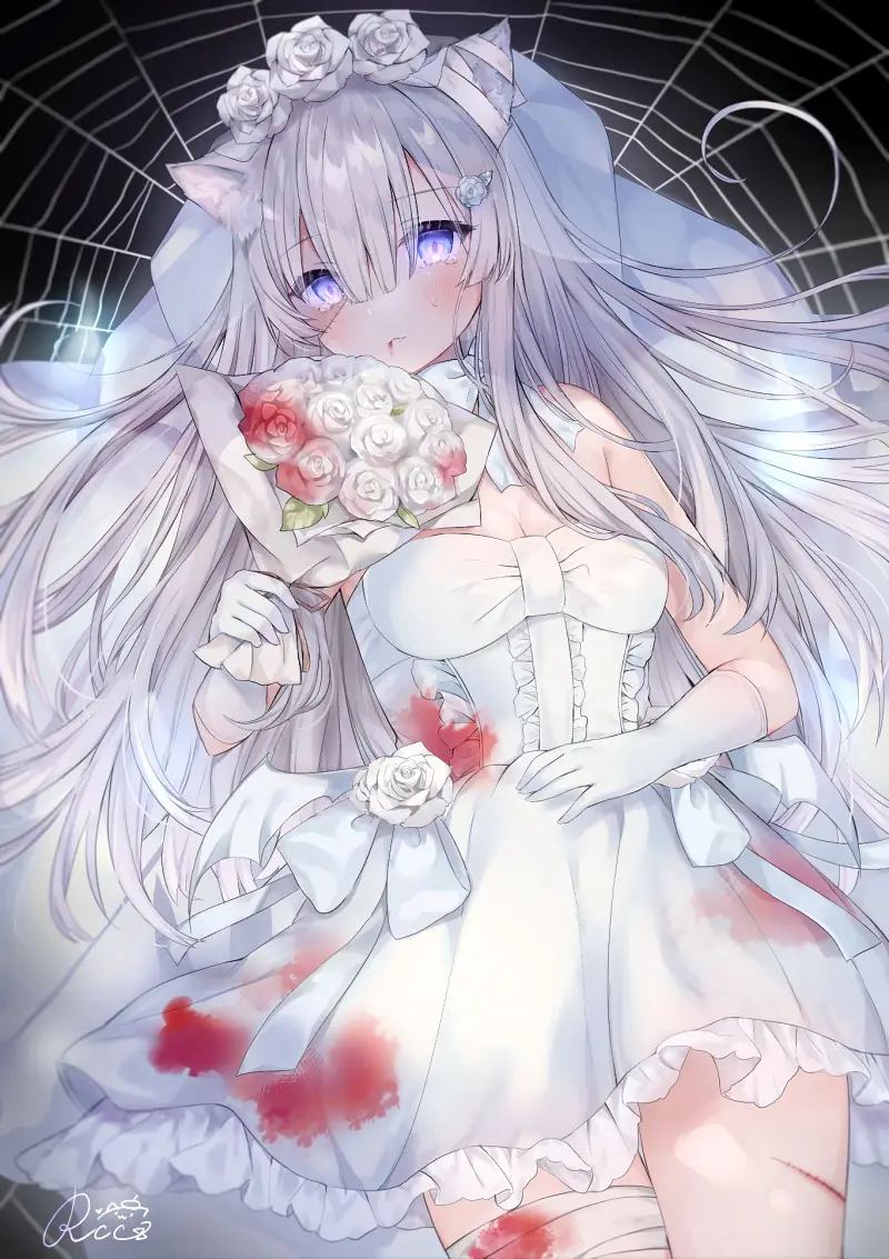 猫娘,涩图,二次元