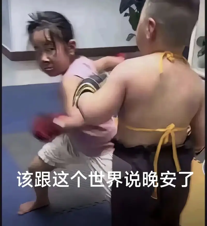 动图,GIF,meme