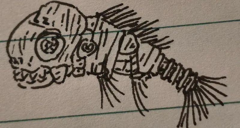 机器