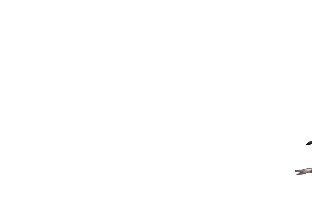 动图,GIF,meme
