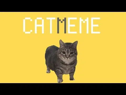 俄罗斯旋转猫