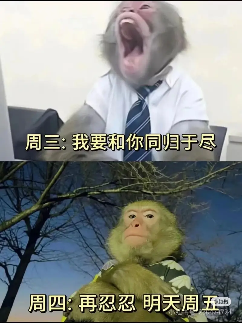 打工人