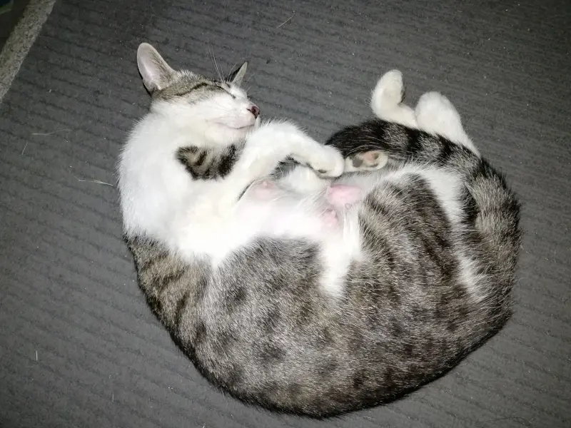 摄影