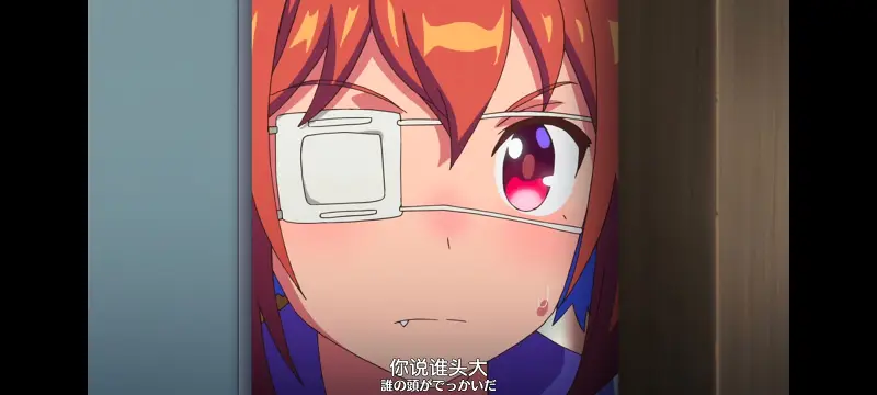赛马娘,赛马娘PrettyDreby,动画,动漫,番剧,ACG
