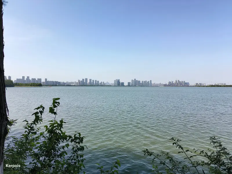 闲聊茶馆,五一假期