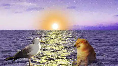 " cheems ，你要去码头整点薯条吗？”