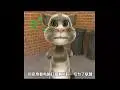 汤姆猫：坑爹的2012世界末日最后带走的东东