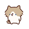 表情包,月薪喵,猫咪表情包,猫meme,哈基米
