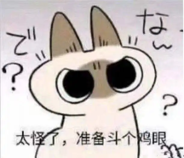 每日乞讨—2