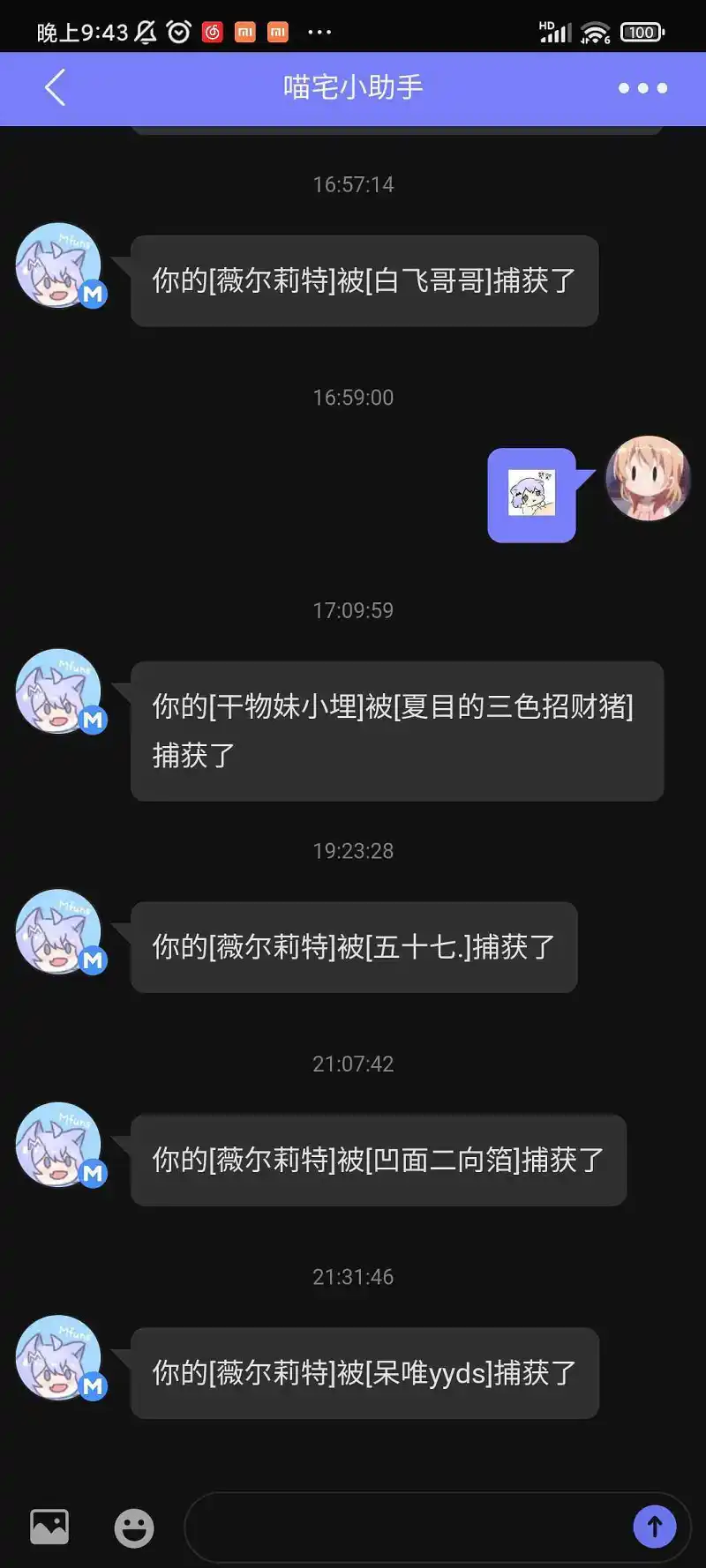 闲聊茶馆,宠物