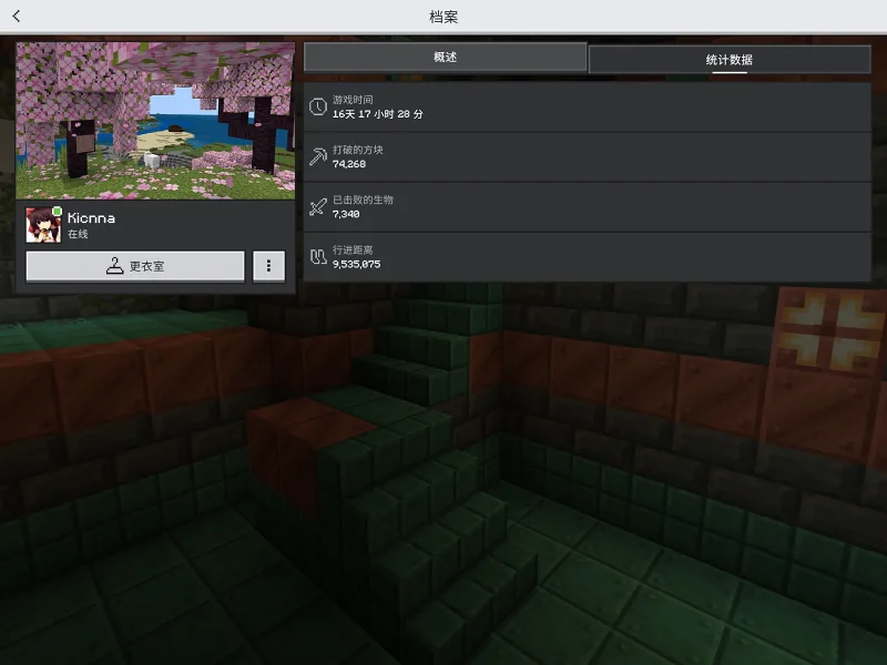 Minecraft,我的世界,沙盒游戏,记录