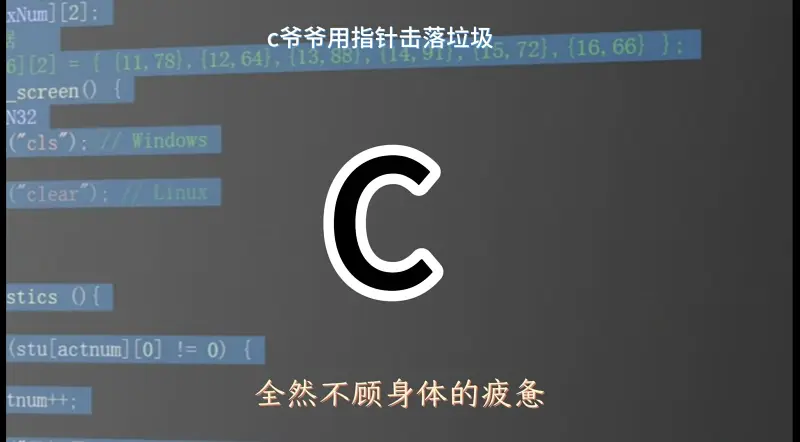  C语言国小学课文，c爷爷用指针击落缓冲区内存垃圾