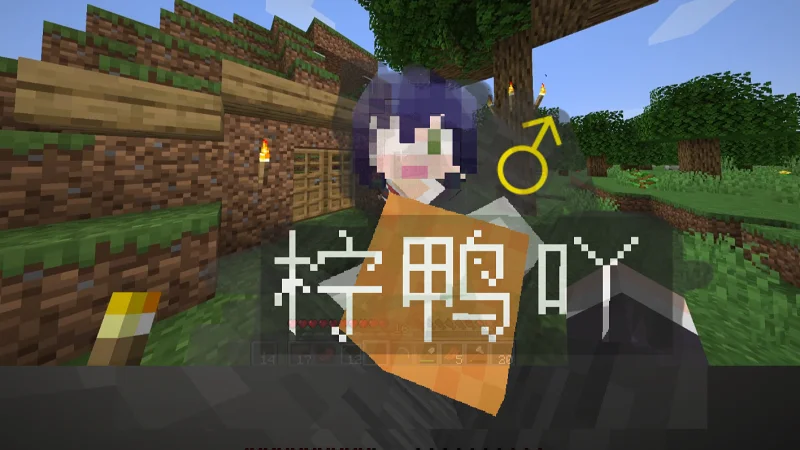 [Minecraft]什么玩意生存实况 #3