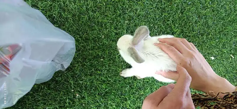 闲聊茶馆,你至少使用一个话题