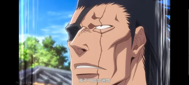 死神,千年血战,Bleach,动画,动漫,境界,番剧,日漫,二次元,ACG