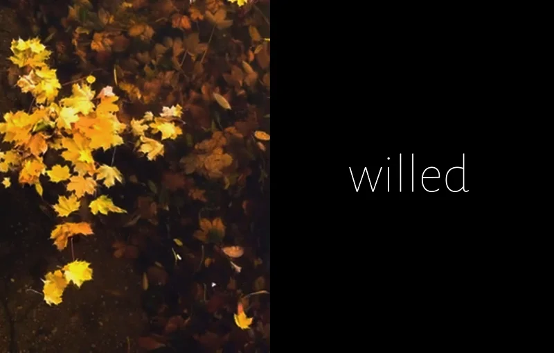 【Dynamix 自制谱】Willed - Iridiumol