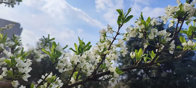 冒个泡