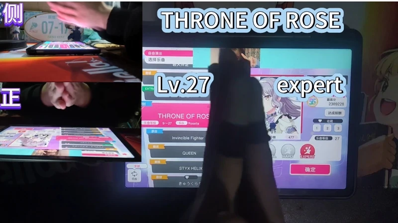 （多视角FC）THRONE OF ROSE lv.27 手元