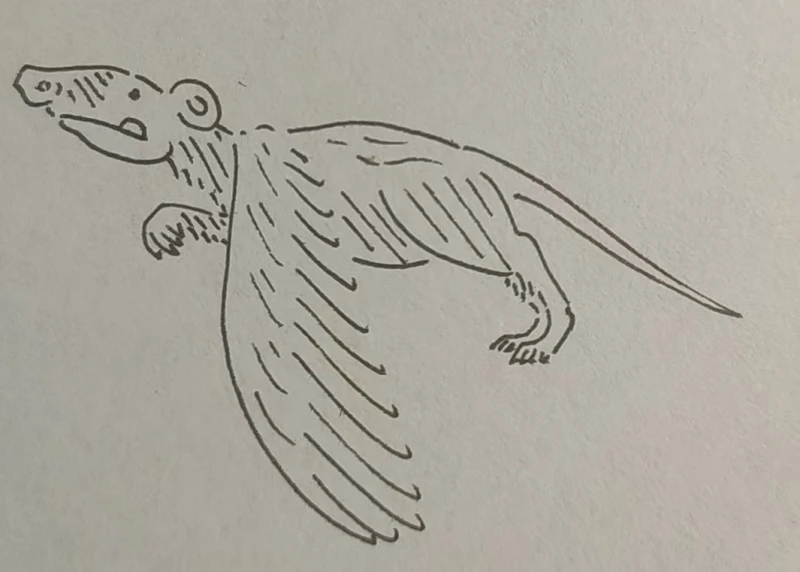 飞鼠