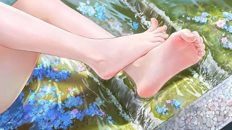 我又来发福利了