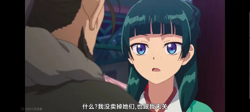药屋少女的呢喃,药师少女的独语,动画,动漫,番剧,日漫,二次元,ACG