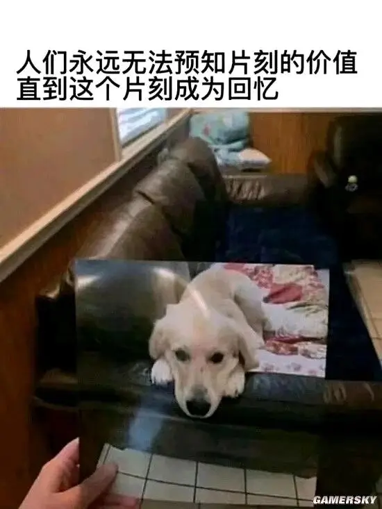 涩图来啦