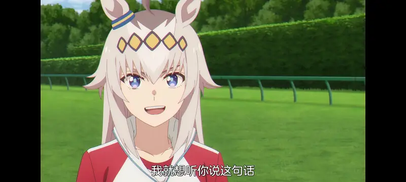 赛马娘,赛马娘芦毛灰姑娘,芦毛灰姑娘,动画,动漫,赛马娘PrettyDreby,番剧,ACG