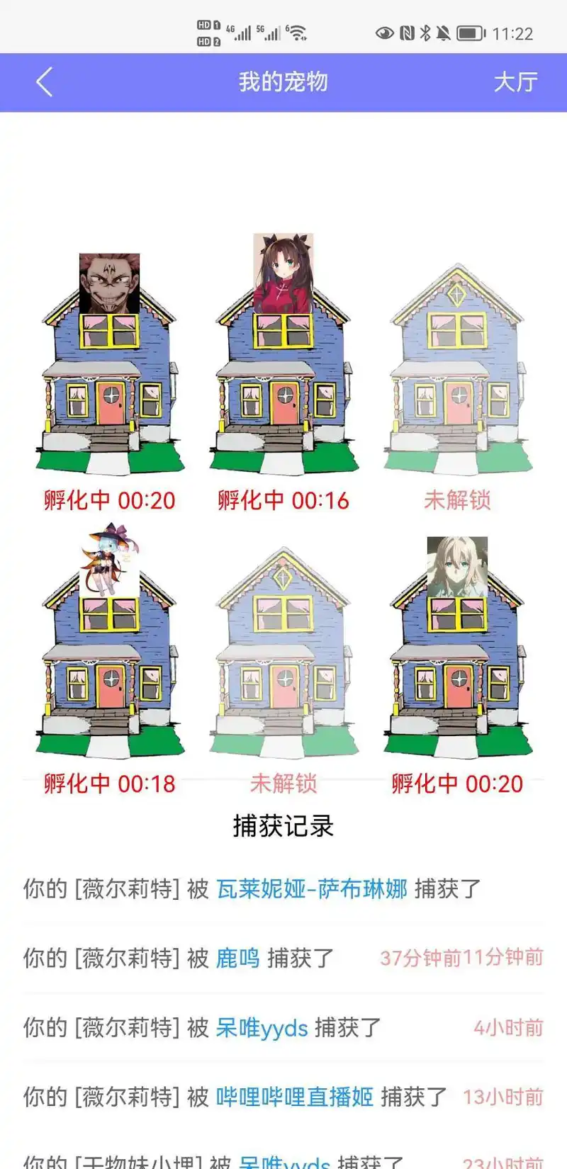 闲聊茶馆,宠物