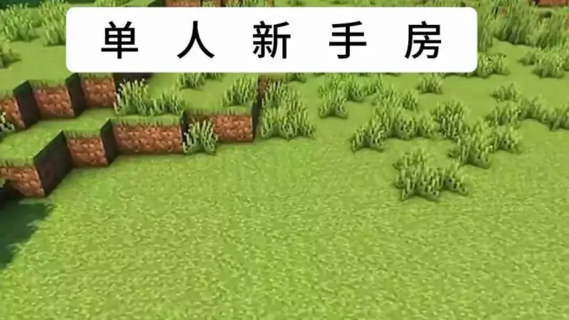 我的世界新手房