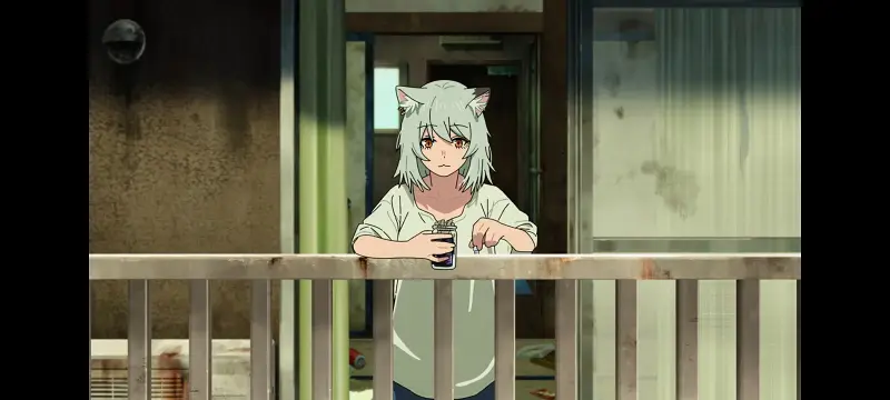 雅尼猫,尼古喵喵,动画,动漫,番剧,二次元,日漫,ACG